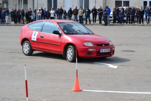 osmomartenskorali19031642