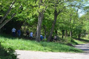 pochistvane1604163