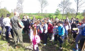 zasajdanegora2804162