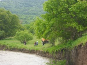 joglav905161