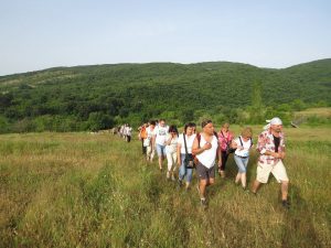 10 Iztochni Rodopi kym krepost  Liutitsa