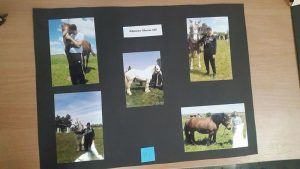zooizlojba1606163