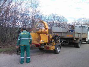obshtiskamreja2203172 Започва почистването на общинската пътна мрежа от опасни клони и храсти
