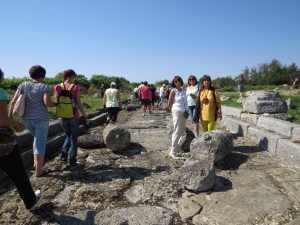 8 на римска улица в Улпия Ескус От Козлодуй до Свищов през римските градове Улпия Ескус и Нове