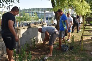 dgparvijuni1309172 Детска градина „1-ви юни“ – Ловеч е кандидатства и е одобрена в обявения конкурс на МОСВ и ПУДООС на тема: “Обичам природата и аз участвам“