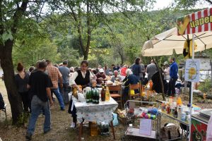 starostefanovo2409175 Певецът Веселин Маринов пя на празника на село Старо Стефаново, Ловешко