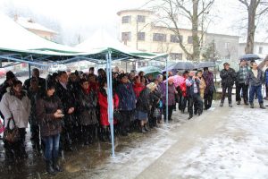 izvorzarezan140218C В Голям извор зарязаха лозята по случай Трифон Зарезан