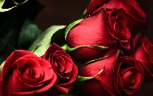 8mart803181 Благодаря и честит празник!