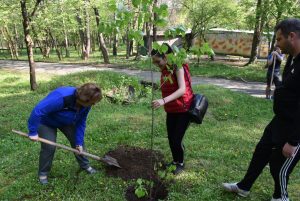 zalesiavane1504182 Ловеч стана по-зелен с над 1200 нови насаждения след проведената акция