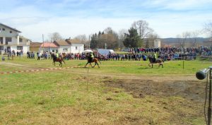 joglavkone1803197 За пръв път тази година в село Йоглав се проведе Тодоровден с богата концертна програма и надбягване с коне