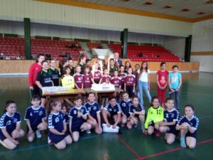handball2305192 Хандбален турнир по случай Деня на предизвикателството се проведе на 22 май в Ловеч