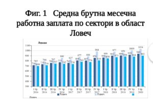 stat1306193 НСИ: Средната брутна месечна работна заплата в област Ловеч за януари 2019 г. е 922 лв., за февруари - 932 лв. и за март - 966 лева