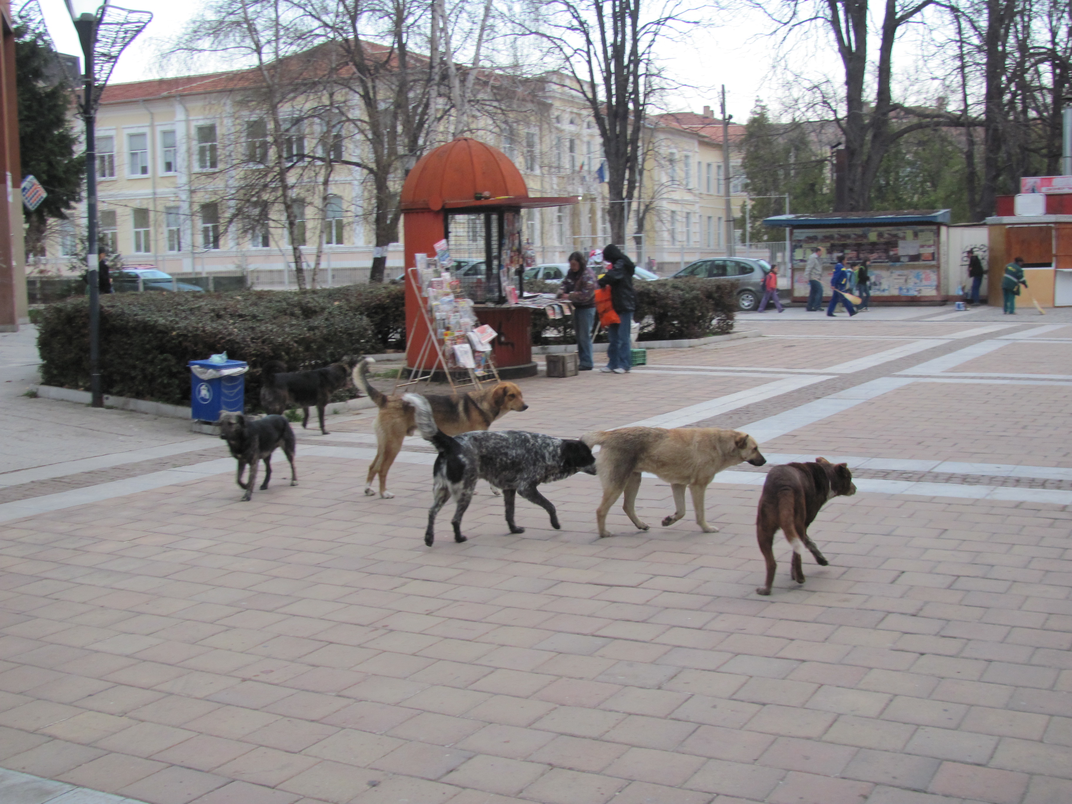 kucheta2803122 Безсънни нощи