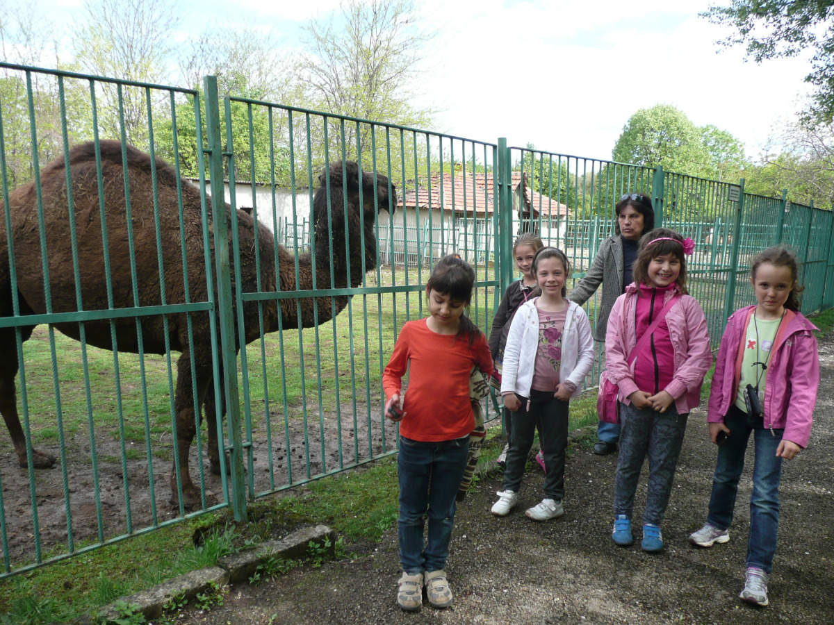 zoo2304121 Четири от постоянните комисии на Общински съвет – Ловеч, разглеждат проблемите на Зоопарка