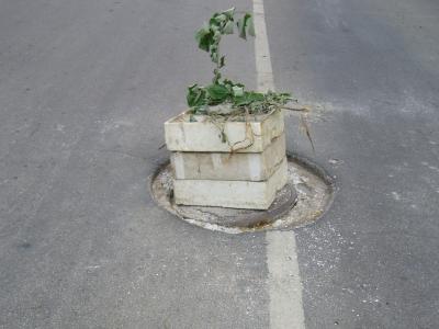 dupka1306121 Дни на безхаберие! Хората питат: Колко време трябва да чакат, за да си свърши работата градската администрация?