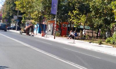 karuca309121 Пак каруци в центъра на Ловеч
