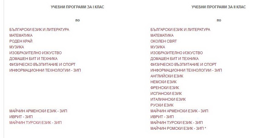 maichinezikmon306132 Изучаването на майчините турски, ромски, арменски и иврит обяви българското Министерство на образованието и науката