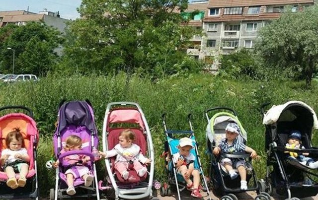 duch2210141 Буренчета в изоставена градина