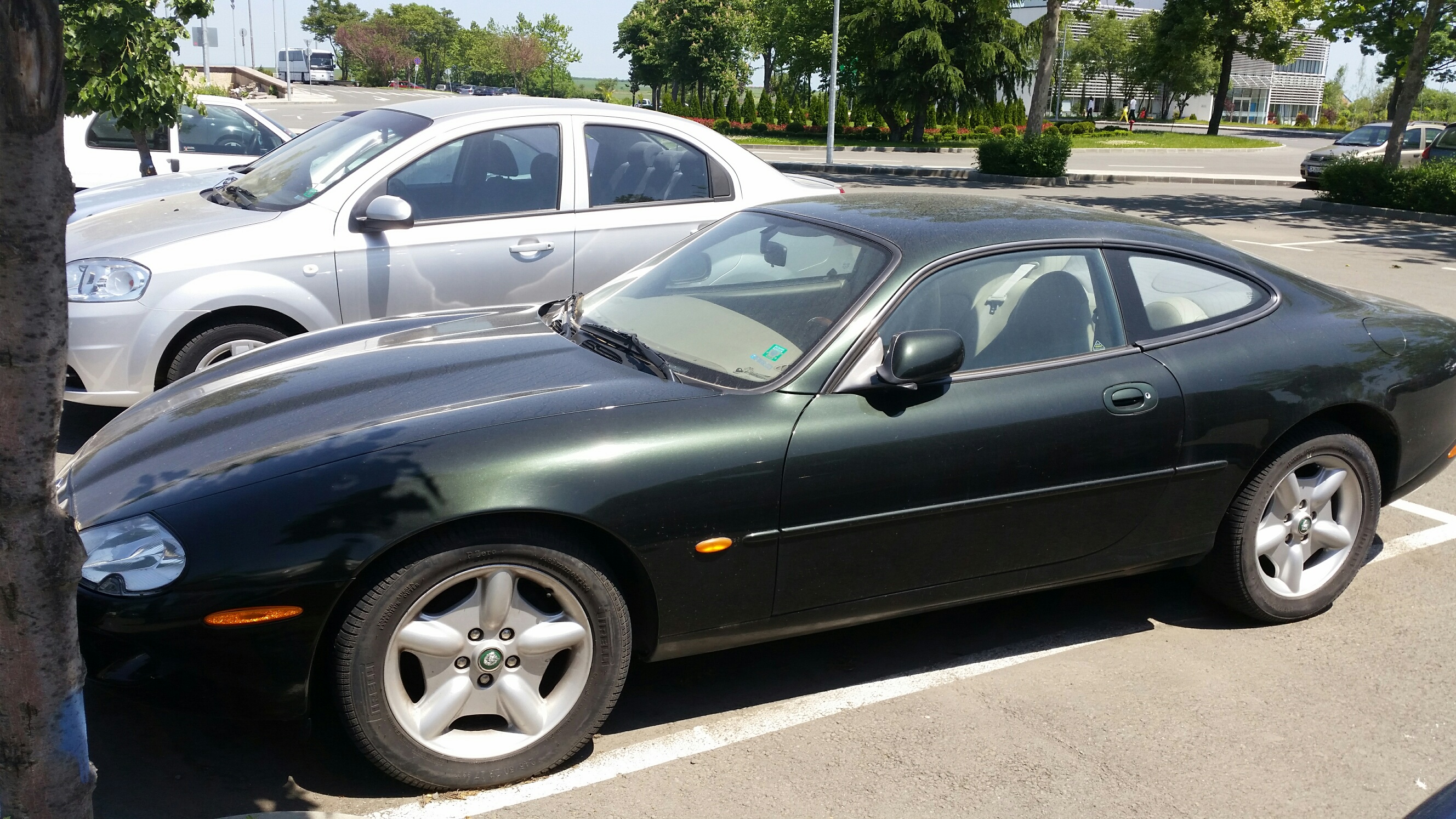 jaguar803171 НАП В.Търново продава спортен „Ягуар“