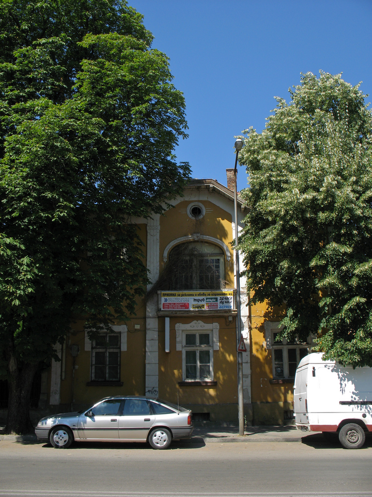 lovechdarveta806171 Община Ловеч започва оформяне на короните на дърветата по централните улици