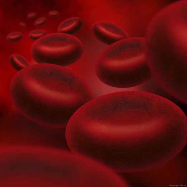 hematolog3110181 Специалист-хематолог ще преглежда безплатно в Ловеч на 15 ноември