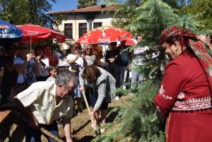 dravche2409191 Дръвче в Старо Стефаново е било засадено от кметицата Корнелия Маринова и певицата Валя Балканска