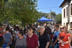 dravche2409192 Дръвче в Старо Стефаново е било засадено от кметицата Корнелия Маринова и певицата Валя Балканска