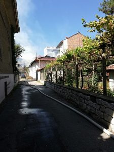 pojarlovech30919 2 Ловешките пожарникари овладяват голям пожар в центъра на града