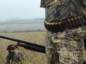 lovci410191 Не са установени нарушения при извършени проверки на ловните дружинки в Борима, Врабево, Абланица и Лешница