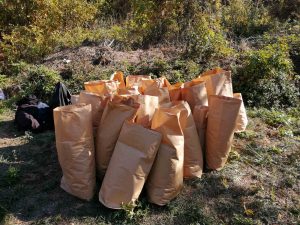 policekanabis241019 1 Задържани са трима мъже за отглеждане на наркотични вещества в землището на Карлуково