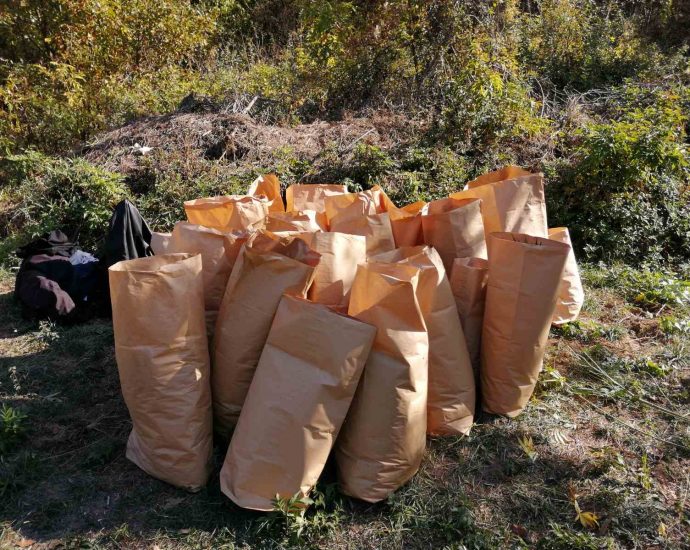 policekanabis241019 1 Задържани са трима мъже за отглеждане на наркотични вещества в землището на Карлуково