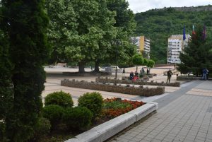 kitki1106201 Цветните лехи в центъра и в част от кварталите на Ловеч са с нова, още по-богата пролетна цветна украса