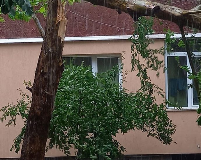 buria1907201 Кратка, но изключително силна буря причини щети и спиране на електрозахранването в град Ловеч и селата от общината