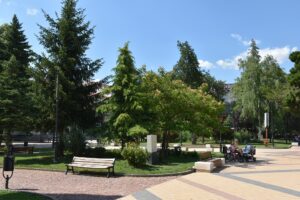 parkove 903212 Забелязано извън Ловеч: Градът е в крак със световни тенденции