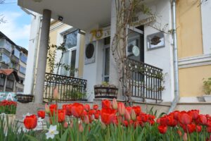 ezikova 1604211 Ние изписваме Езикова с парченца от сърцата си!