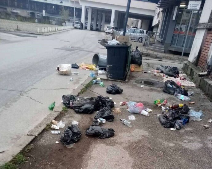 vandali 1904211 Община Ловеч чрез видеозаписи издирва извършителите на серия вандалски прояви