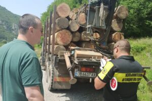 aktove gorski 2806211 19 акта съставиха горски служители само за два дни на територията на област Ловеч