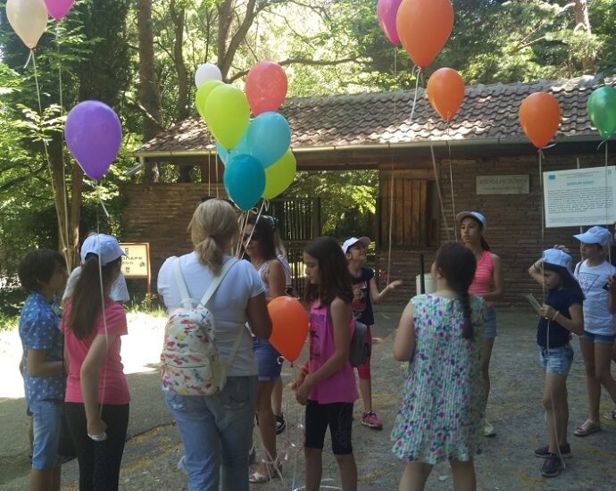 vakantsiya bez risk 2806211 На 2 юли в Ловеч откриват летните занимания от Програма „Ваканция без риск“