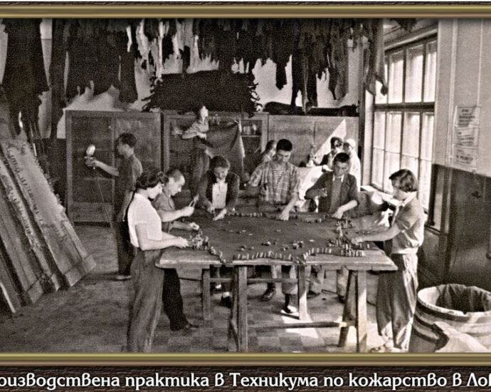 istoria kojarstvo 29072112 КОЖАРО-КОЖУХАРСТВОТО В ЛОВЕЧ