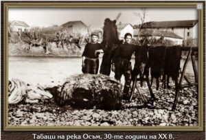 istoria kojarstvo 2907212 КОЖАРО-КОЖУХАРСТВОТО В ЛОВЕЧ