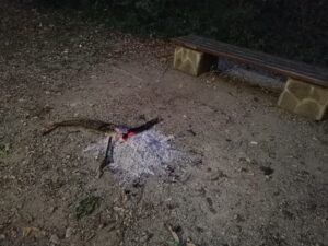 nepalete 2709211 Кметът на Ловеч: Не палете огън, не оставяйте тлеещи въглени без надзор!