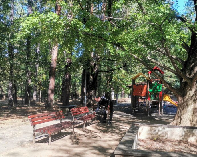 peiki bashbunar 610211 Всички близо 90 пейки по алея „Баш Бунар“ в Ловеч са ремонтирани и подготвени за зимния сезон