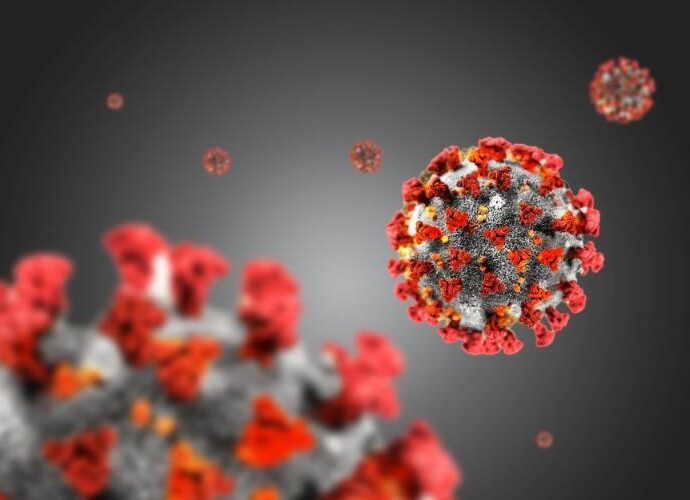 covid virus 601221 В област Ловеч са диагностицирани общо 69 случая, хоспитализираните са 15. Паралелка в Троян е под карантина за 10 дни