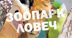 zoo lovech 1801221 Община Ловеч стартира дарителска кампания за събиране на стари снимки, картички и спомени