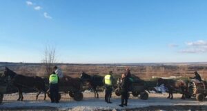 karuci darva 1102221 Задържаха системни нарушители с 12 каруци незаконна дървесина в землищата на Луковит, Торос, Дерманци