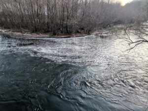 zamarsiavane 230221 2 Регионалната инспекция по околната среда и водите (РИОСВ) - Плевен взе проби от водата на Осъм в Ловеч и започна  проверка за евентуално замърсяване на реката