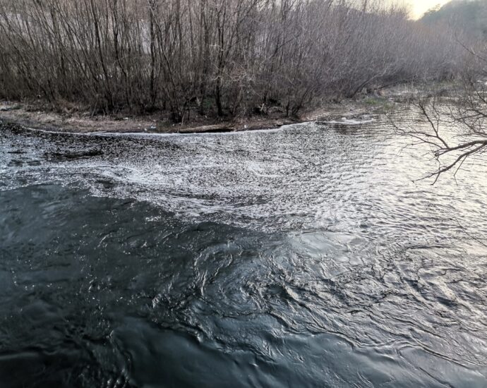 zamarsiavane 230221 2 Регионалната инспекция по околната среда и водите (РИОСВ) - Плевен взе проби от водата на Осъм в Ловеч и започна  проверка за евентуално замърсяване на реката