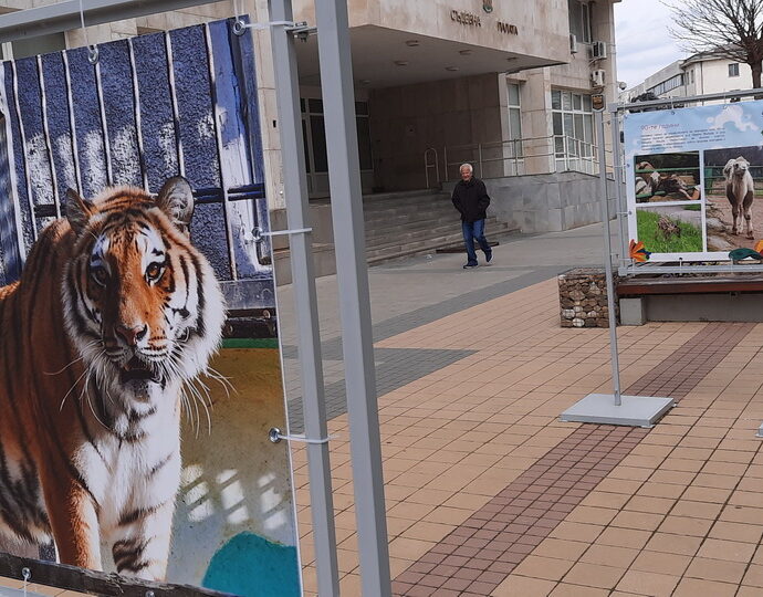 izlojba zoo 404221 5 Фотоизложба по случай 60 години от откриването на Зоопарка е експонирана на пешеходната зона пред Община Ловеч