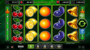 Pregled na Burning Hot Slot Преглед на Burning Hot Slot