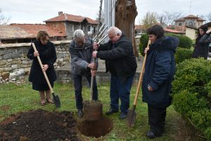 briast kakrina 3103231 2 Нов бряст е засаден в Къкринското ханче, редом до дървото, свидетел на залавянето на Васил Левски